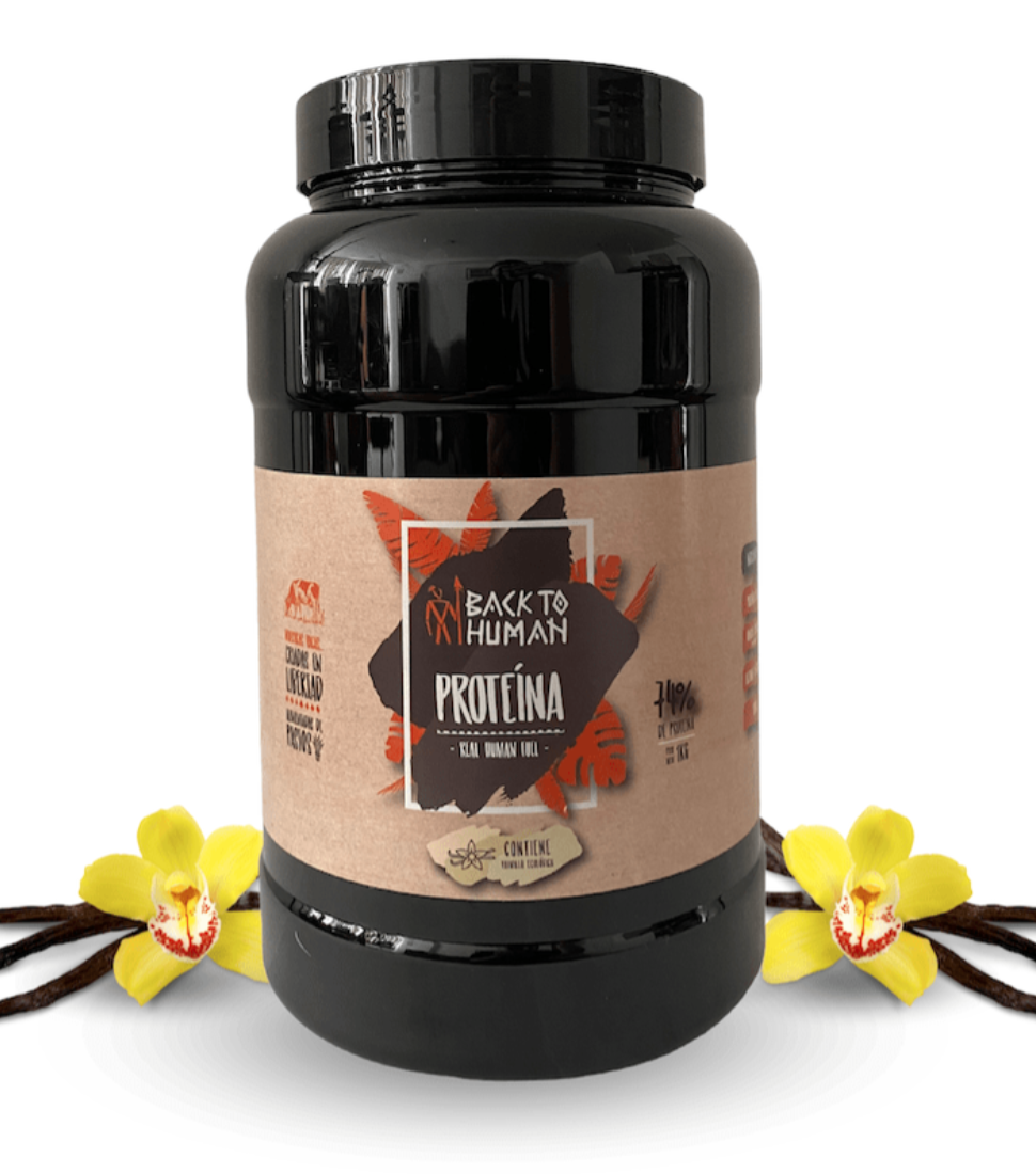 Back to Human proteina